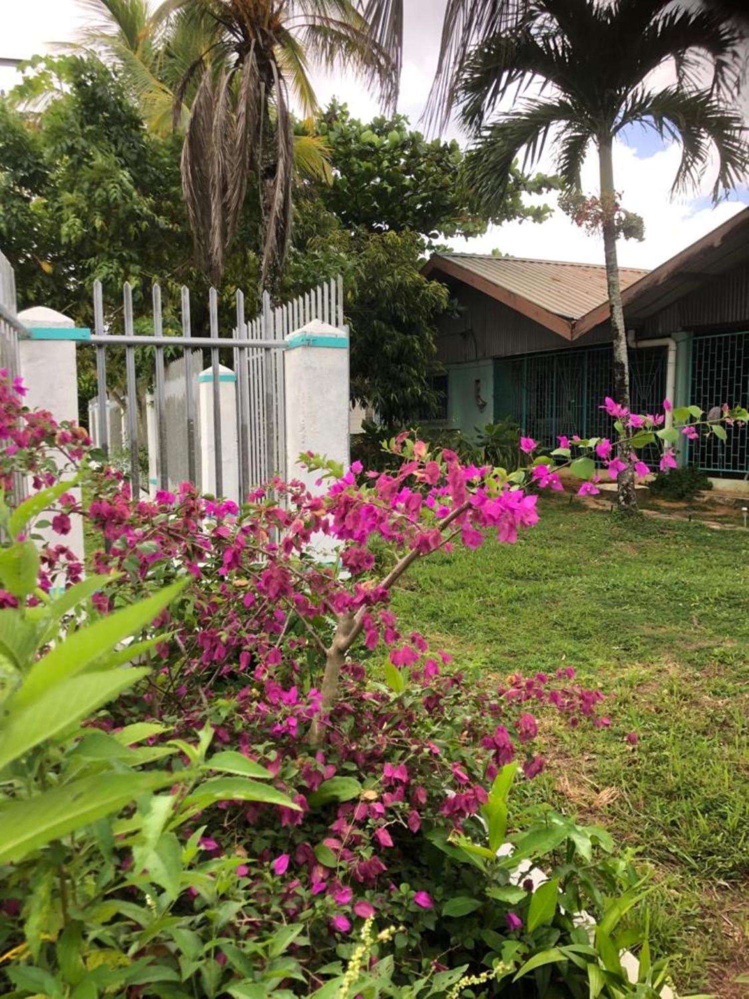 Unu Pikin Guesthouse Paramaribo Dış mekan fotoğraf