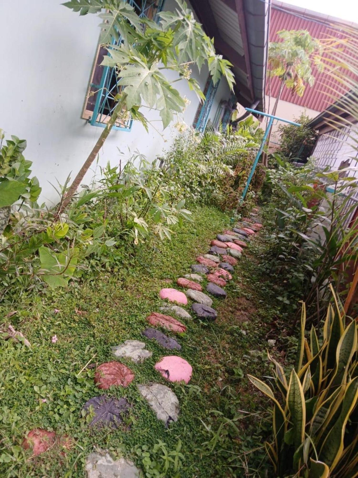 Unu Pikin Guesthouse Paramaribo Dış mekan fotoğraf